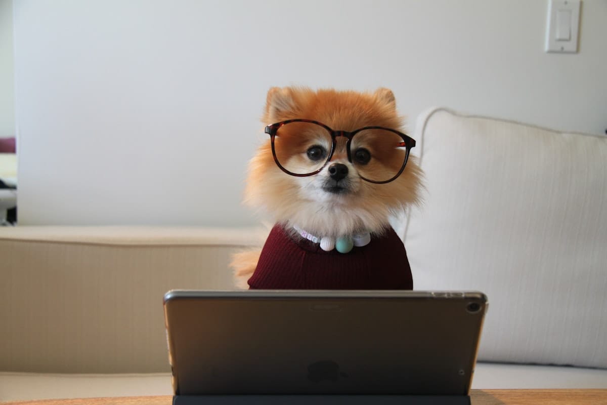 Not getting our emails?